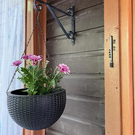 Binis Murtalblick Apartmán *