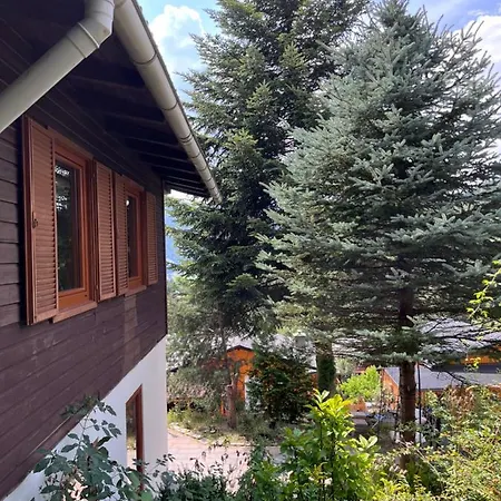 Binis Murtalblick * Pols