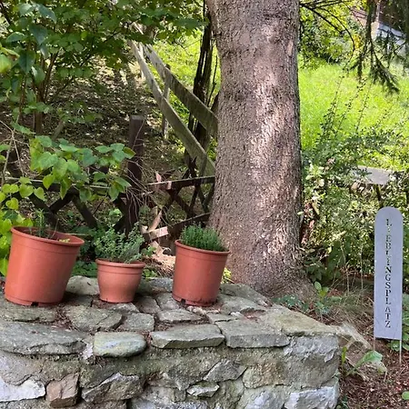 Apartmán Binis Murtalblick