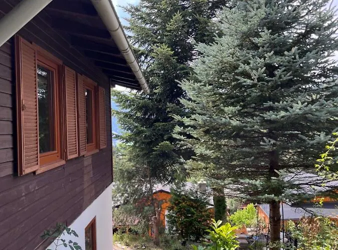 Binis Murtalblick * Pols